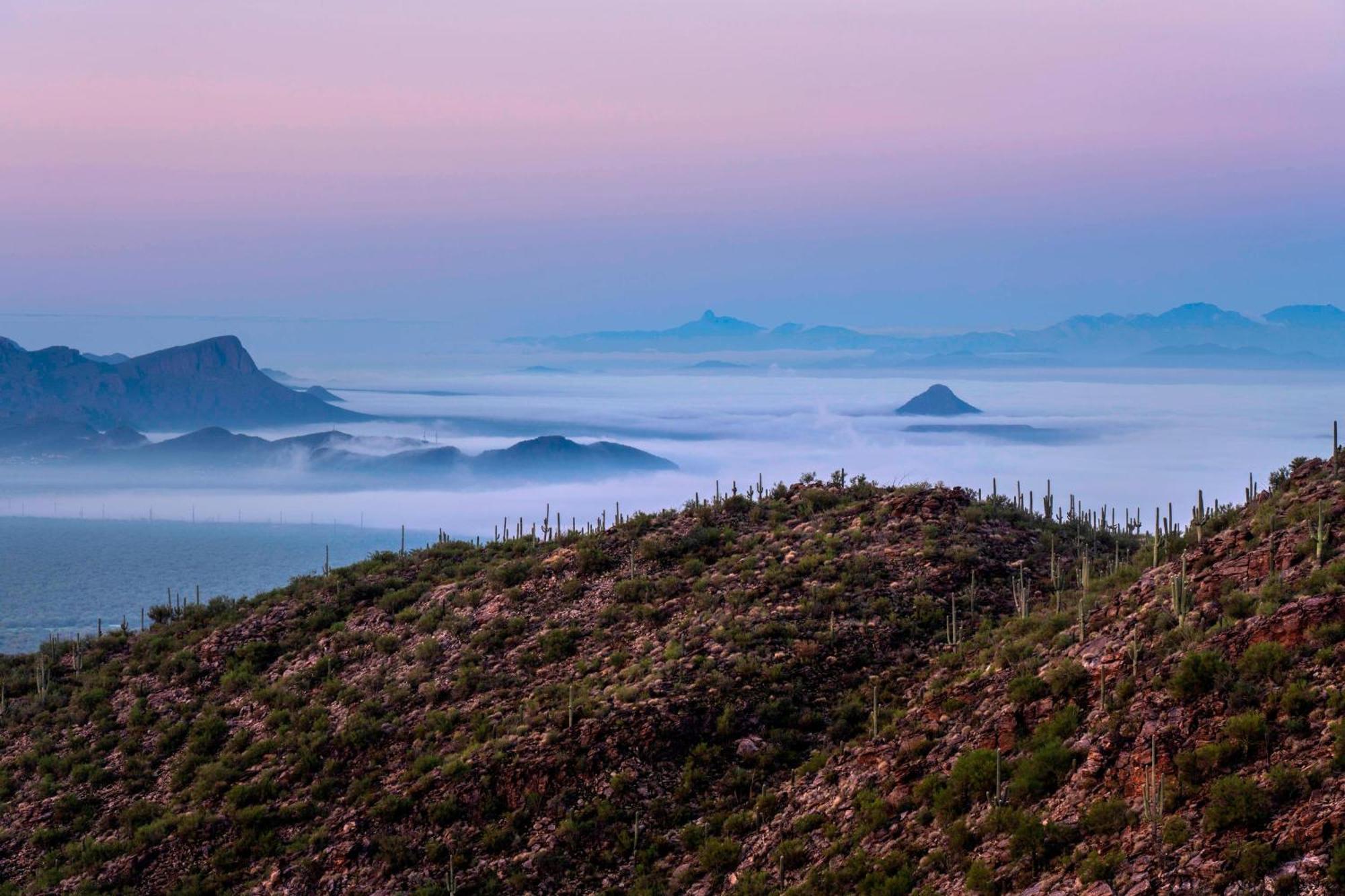 The Ritz-Carlton, Dove Mountain Hotel Marana Bagian luar foto