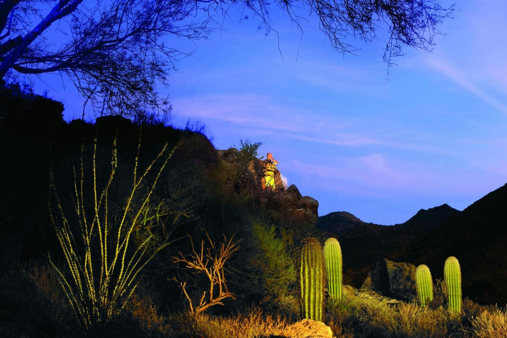 The Ritz-Carlton, Dove Mountain Hotel Marana Bagian luar foto